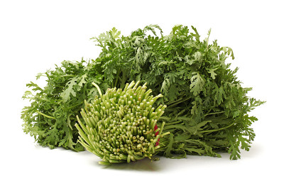 Shungiku，也叫通号，或食用菊花
