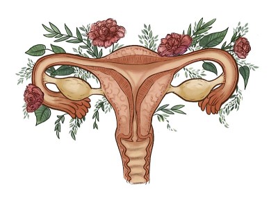 一个女人的子宫被装饰性的花朵包围的插图