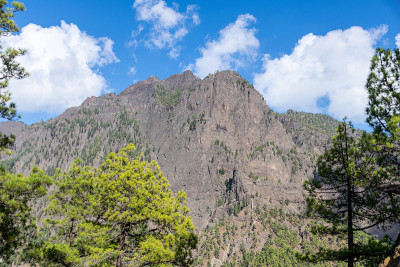 西班牙加那利群岛拉帕尔马的亚诺斯德尔贾布尔火山景观和天文学视角的松林