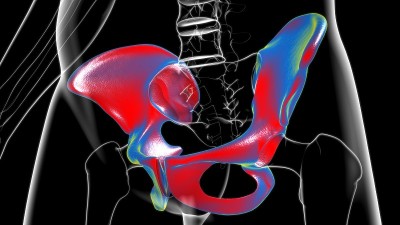 人体骨骼、髋部或骨盆骨解剖学的医学概念
