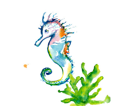 海马水彩画动物艺术