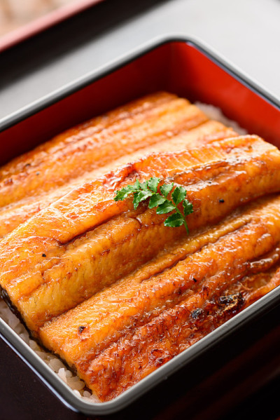 una-juu。鳗鱼饭盒子。日本的食物。