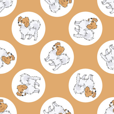 可爱的卡通蝴蝶坐矢量clipart。纯种犬舍犬品种，用于服从训练。纯种家养小狗，用于狗展插图吉祥物。
