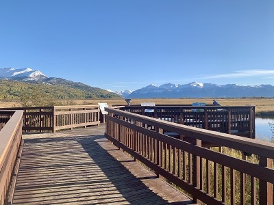 阿拉斯加的风景