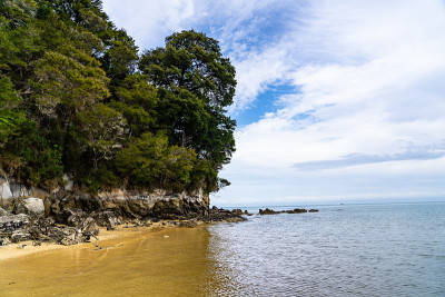 阿贝尔·塔斯曼国家公园中心的马拉胡海滩，新西兰的大海滩，海滩旁边的阿贝尔·塔斯曼海岸轨道，