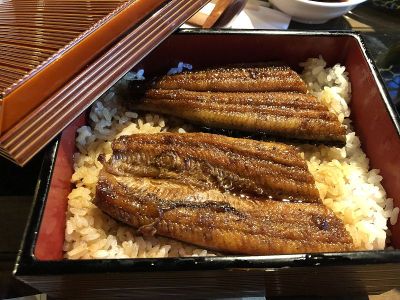 鳗鱼或便当盒中的鳗鱼菜