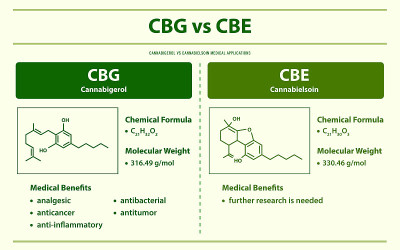 CBG vs CBE, Cannabigerol vs Cannabielsoin水平信息图