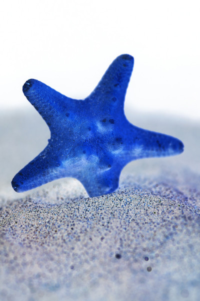 海洋生物:蓝色沙滩上超现实的大型海星
