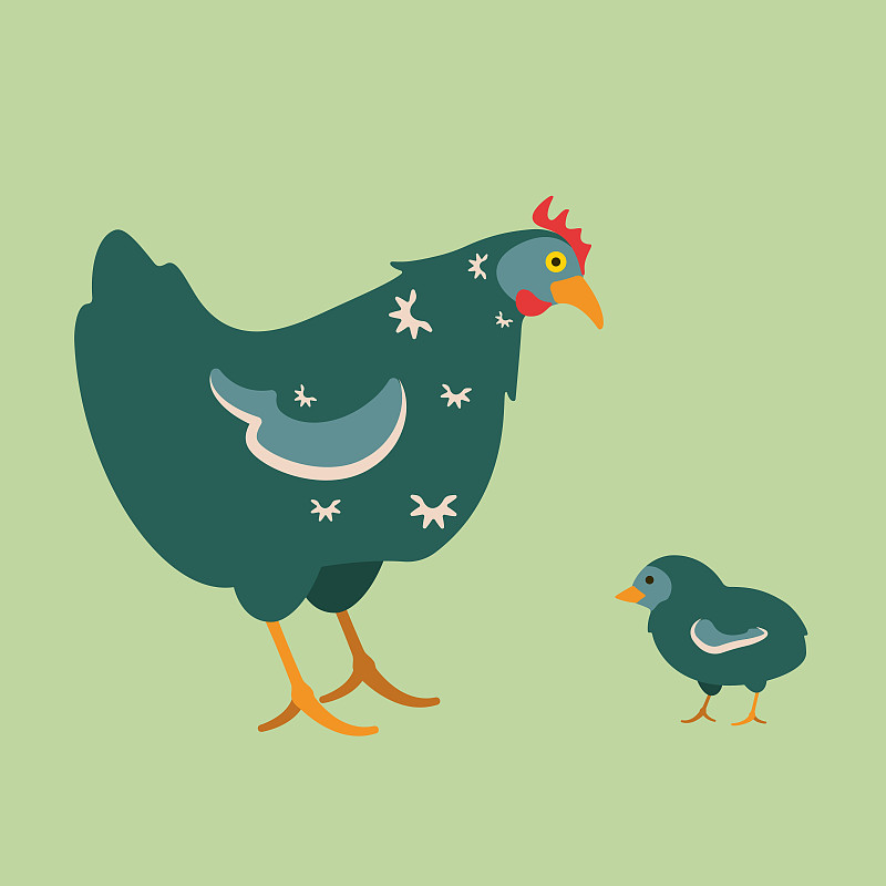 小鸡鸡