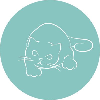 准备攻击的猫
