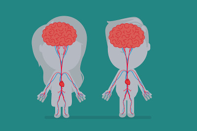 Human body anatomy vector illustration