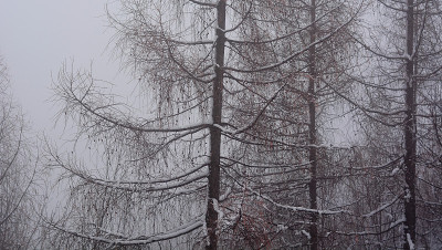 秋天的雾和雪