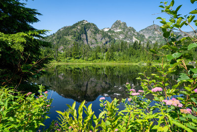 野花在前景的图片湖在华盛顿州与山舒坎山在背景