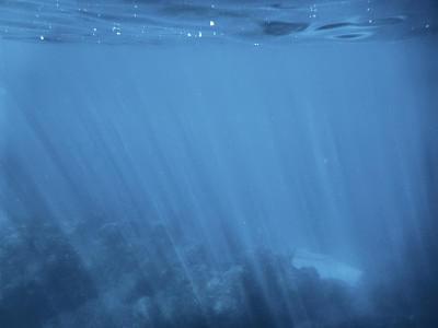 海底世界