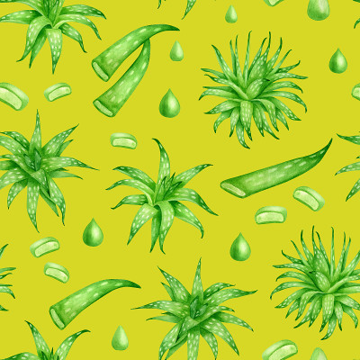 水彩芦荟无缝图案。手绘鲜嫩多汁香草，芦荟汁滴，叶片
