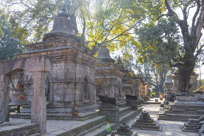 Pashupatinath是加德满都的一座印度教寺庙建筑群。