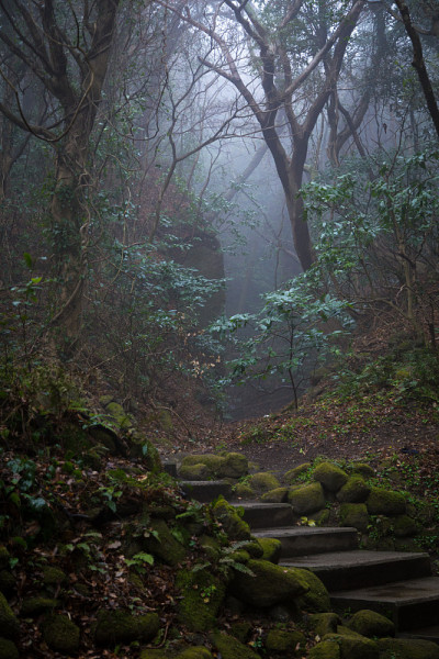 大量的雨水