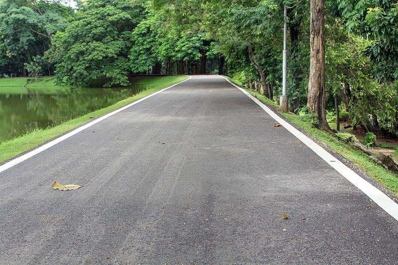 蜿蜒的道路与树木和池塘。