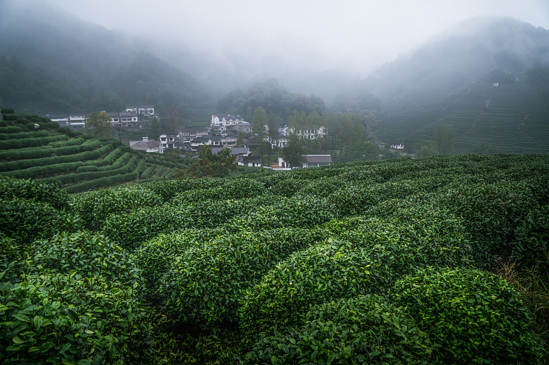 杭州市