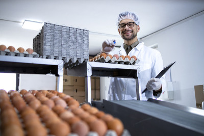 工厂工人拿着检查单在食品加工厂检查鸡蛋的质量。