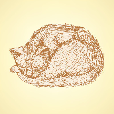 素描睡猫t复古风格