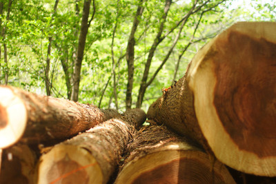 log2