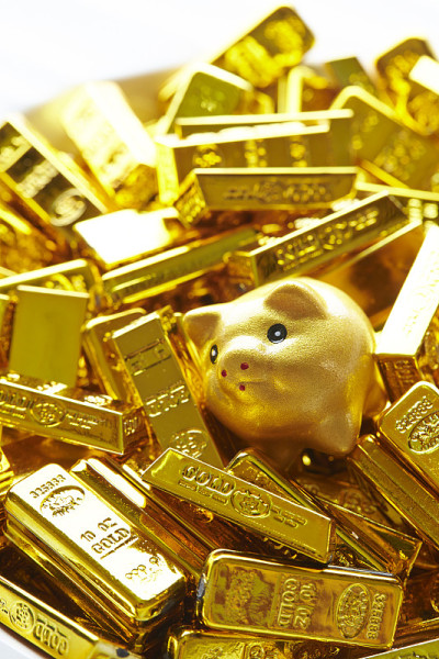 金猪配金锭
