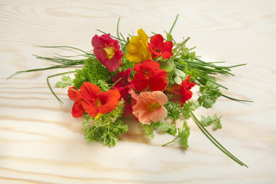 从花园里采摘的新鲜香草