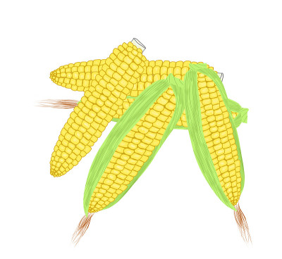 蔬菜