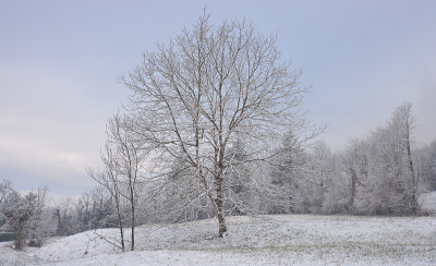 贝卢诺白云岩的最后一场春雪
