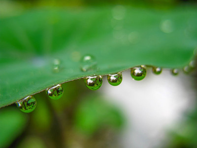 水滴