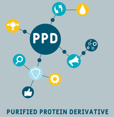 PPD -纯化蛋白衍生物首字母缩写