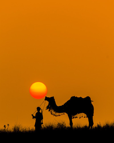 太阳亲吻