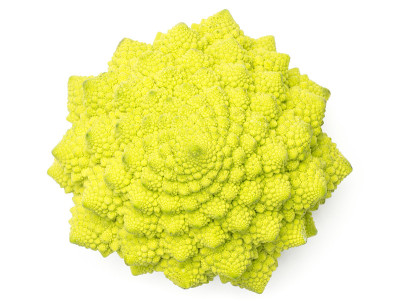 新鲜的绿色罗马花椰菜孤立在白色