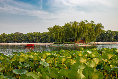 北京的北海