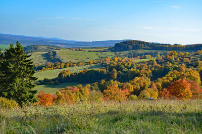 森林在图林根Rhön