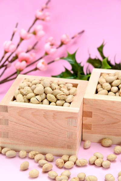 烤黄豆，冬青和梅花。