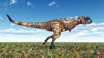 恐龙Carnotaurus
