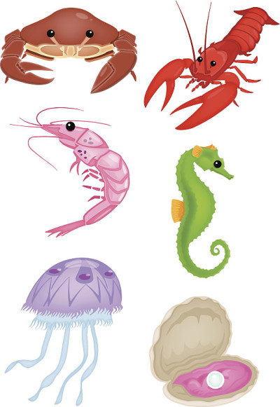海洋生物组