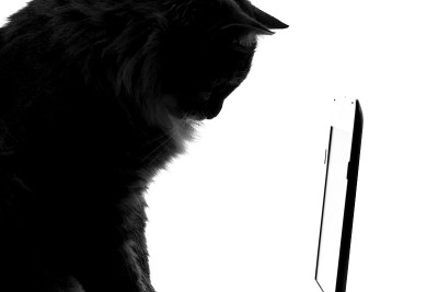 一只看上网本游戏的猫的剪影