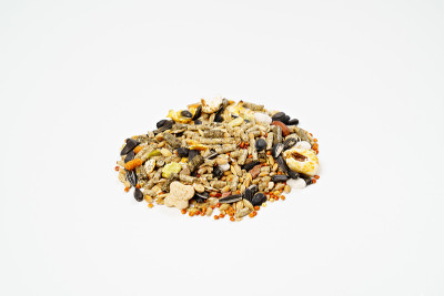 饲料仓鼠混合种子在白色的背景。宠物店。