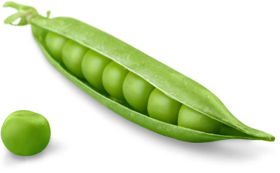 豌豆豆瓣。