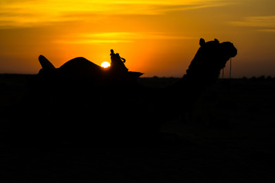 日落在萨姆沙丘的黄金城市Jaisalmer，一个理想的诱惑旅游爱好者