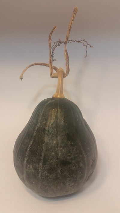 一个小南瓜