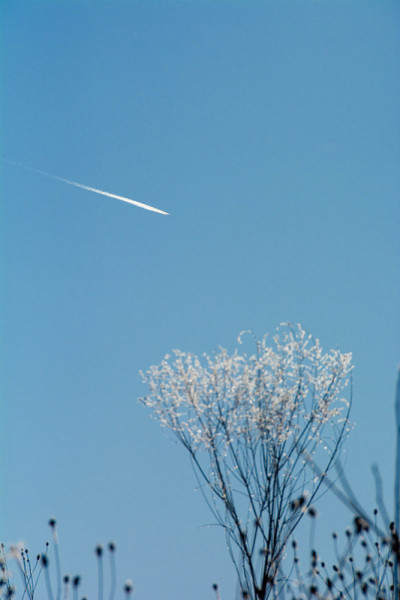 冬天的蓝天和Contrail