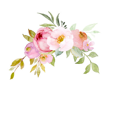 水彩画花和叶的排列手绘插图