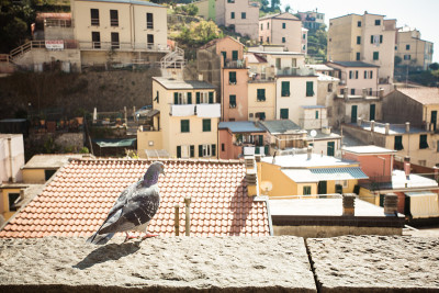 Corniglia