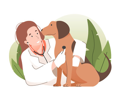Young woman veterinarian doctor examining a dog wi