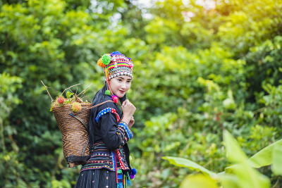 山地部落和红毛丹在收获季节。