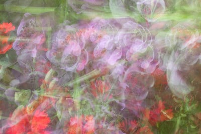 花的背景